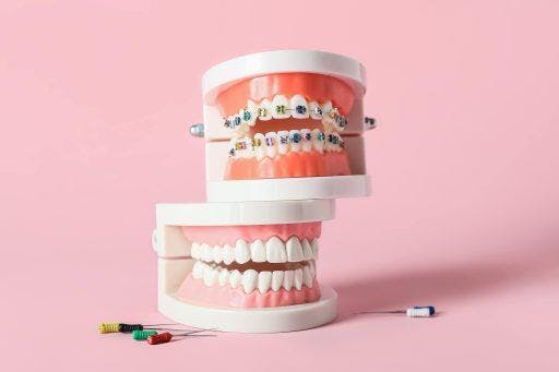 A pair of teeth models against pink background.