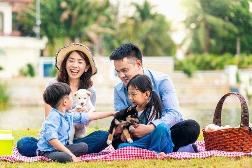 An Asian family playing with their pet dogs at a picnic.