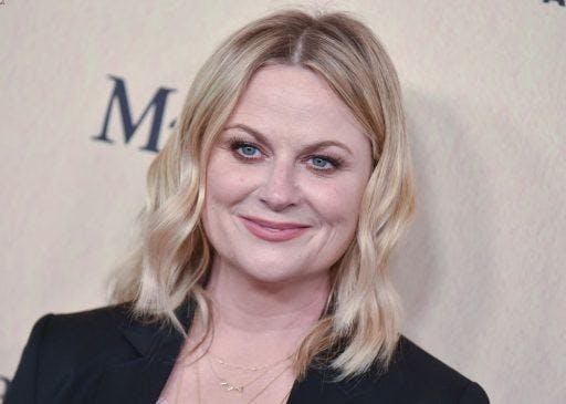 Actress and comedian Amy Poehler smiling without teeth.